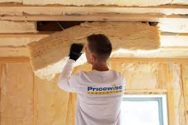 Best Eco-Friendly or Green Insulation Solutions  in Fallon, NV